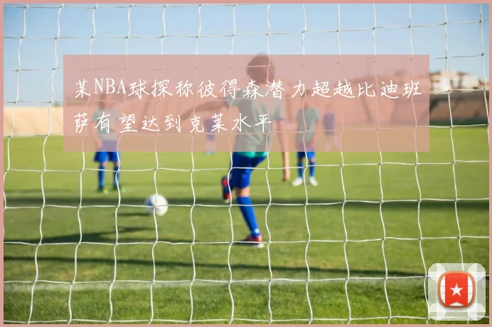 某NBA球探称彼得森潜力超越比迪班萨有望达到克莱水平